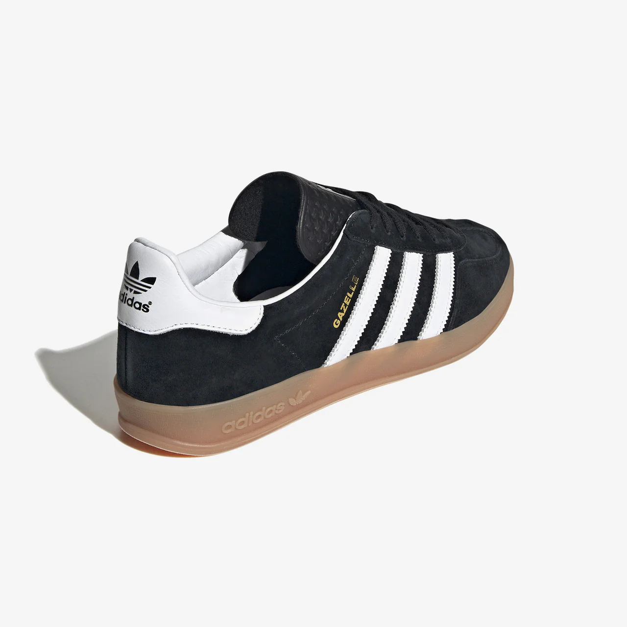Gazelle Indoor - Image 3