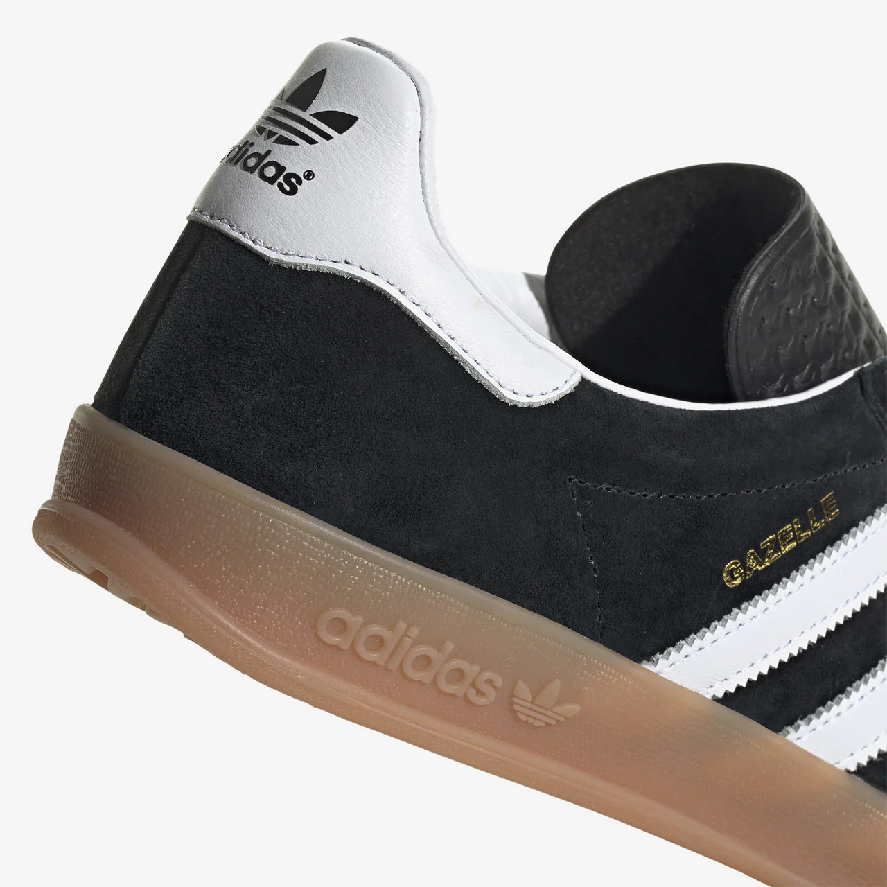 Gazelle Indoor - Image 5