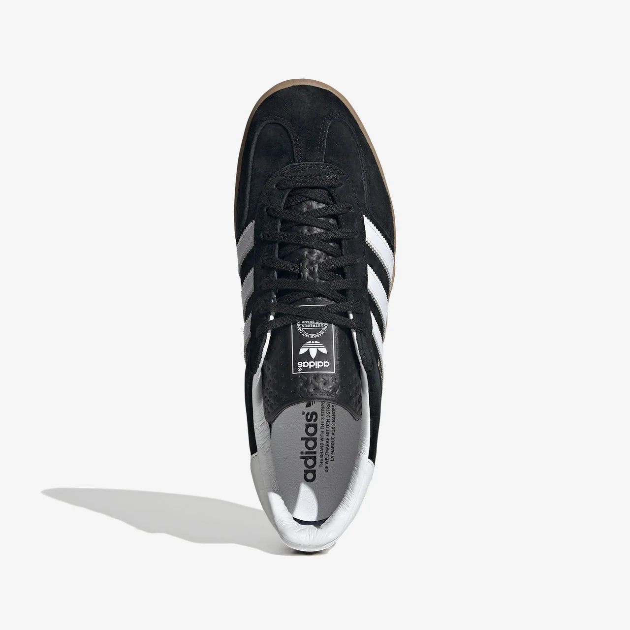 Gazelle Indoor - Image 6