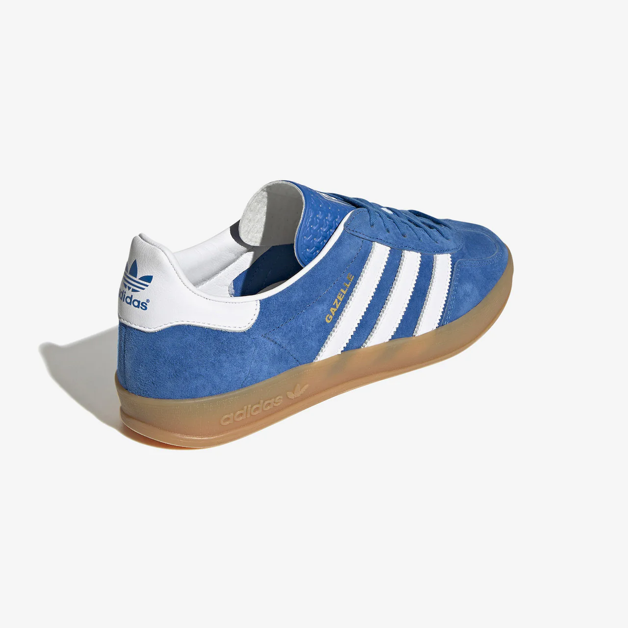 Gazelle Indoor - Image 3