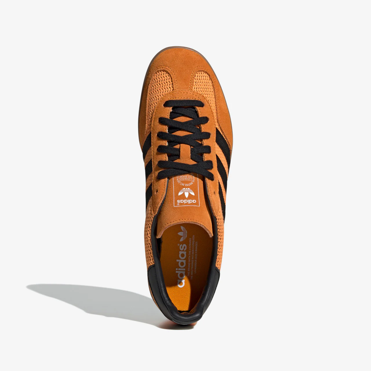 Gazelle Indoor - Image 7
