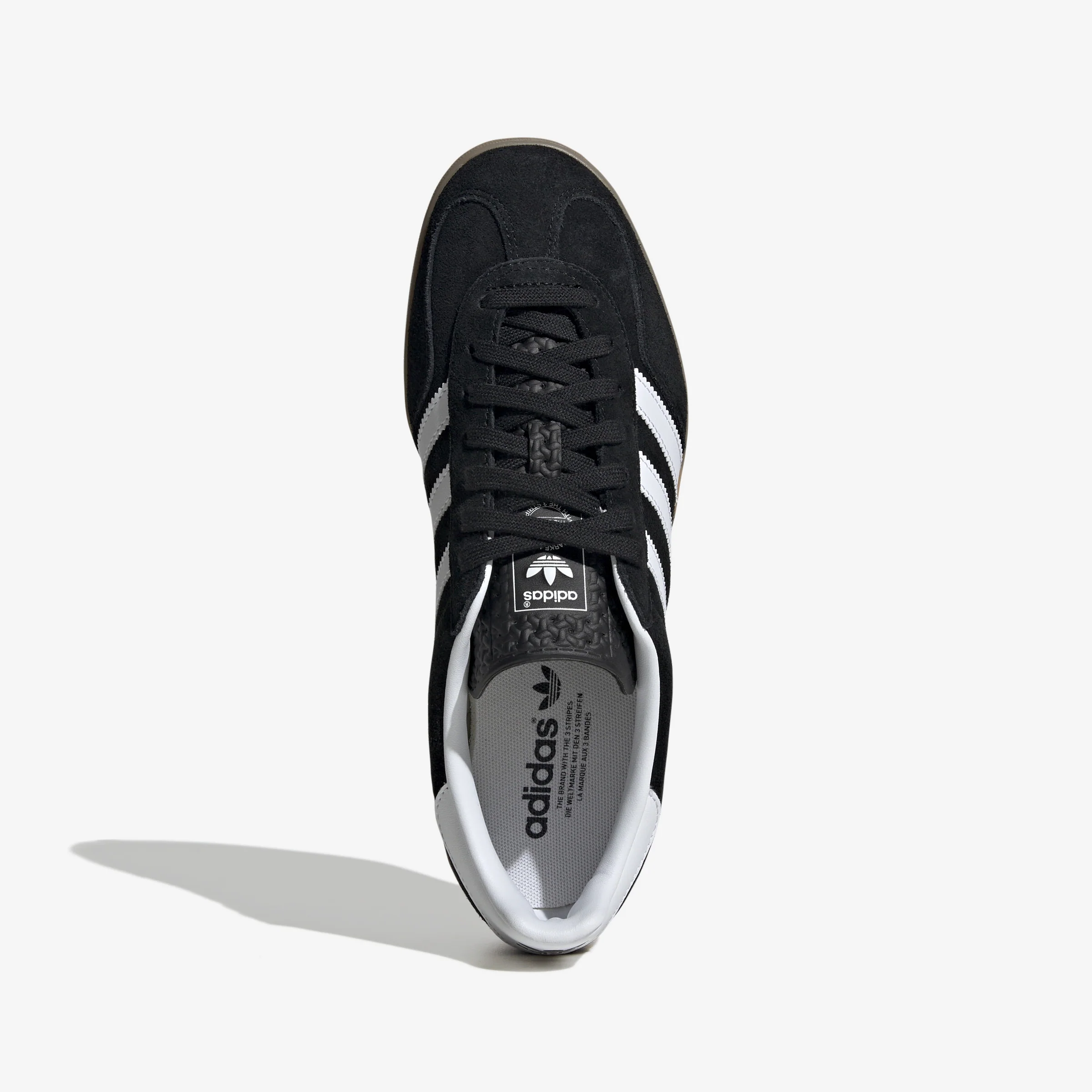Gazelle Indoor - Image 7