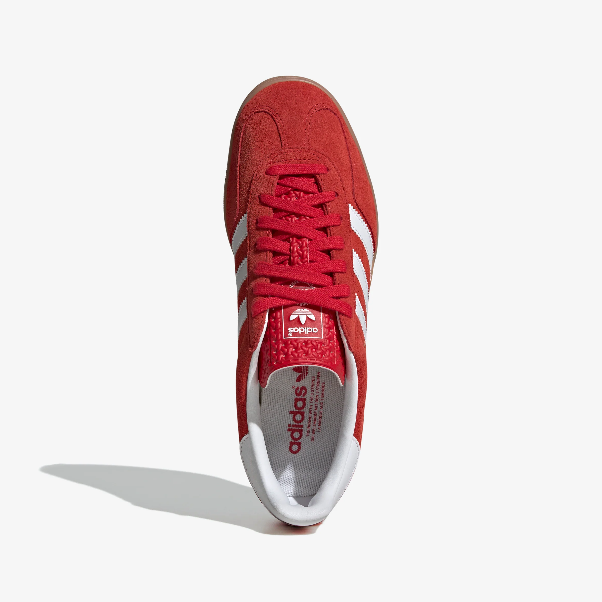 Gazelle Indoor - Image 5