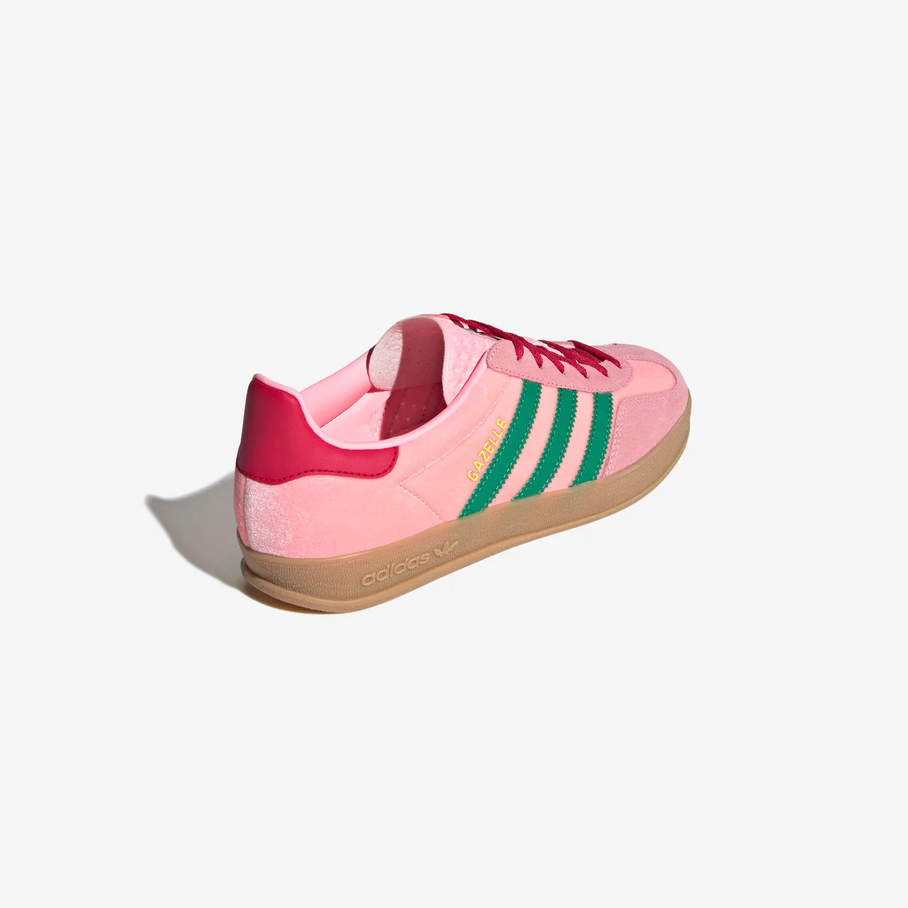 Gazelle Indoor - Image 6