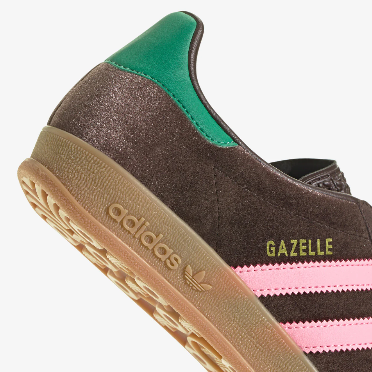 Gazelle Indoor - Image 6