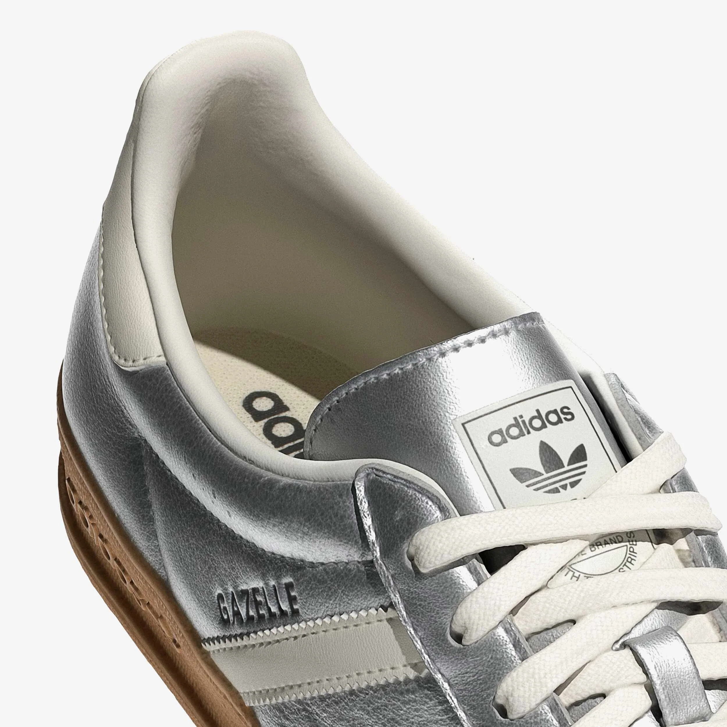 Gazelle Indoor - Image 5