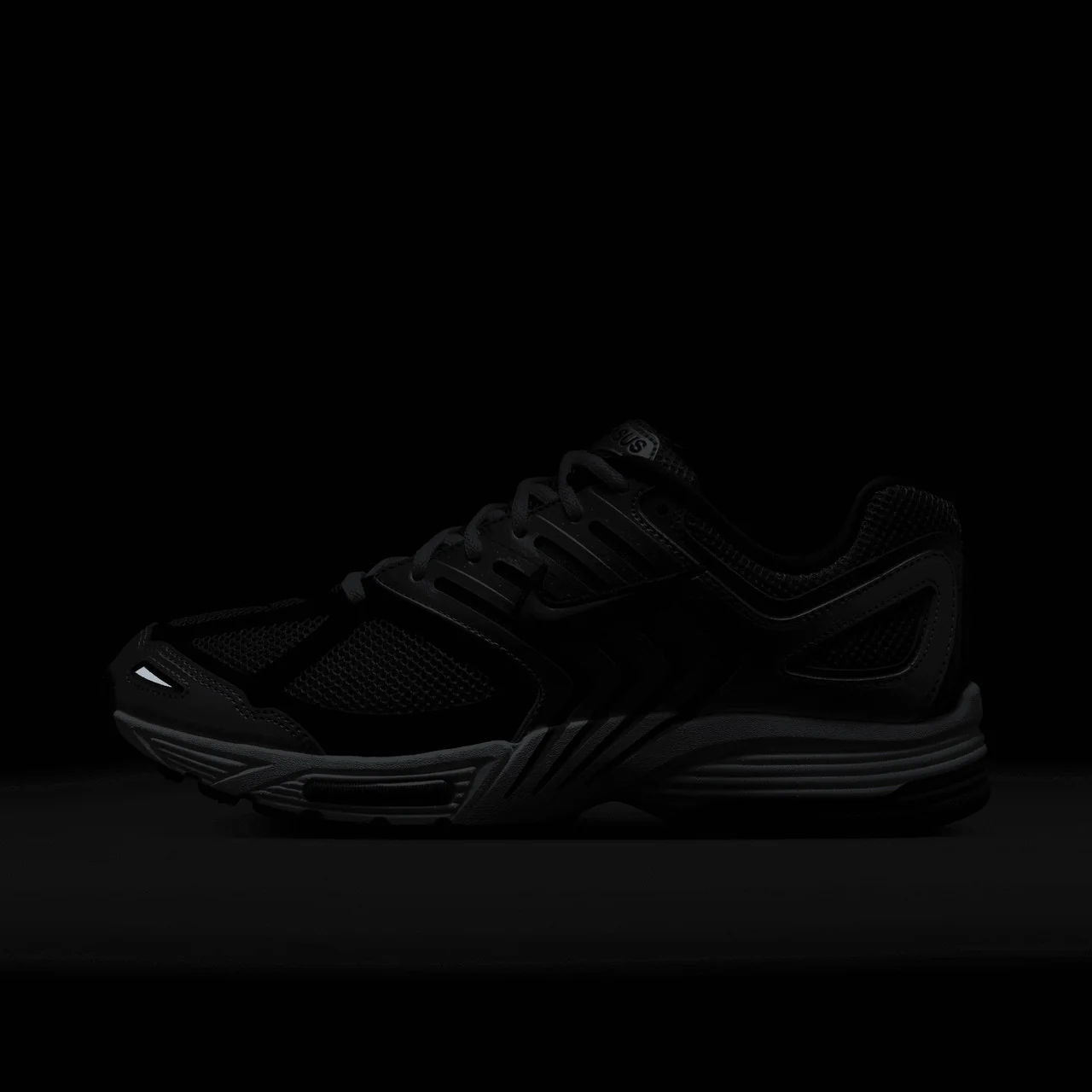 Air Pegasus 2005 - Image 8