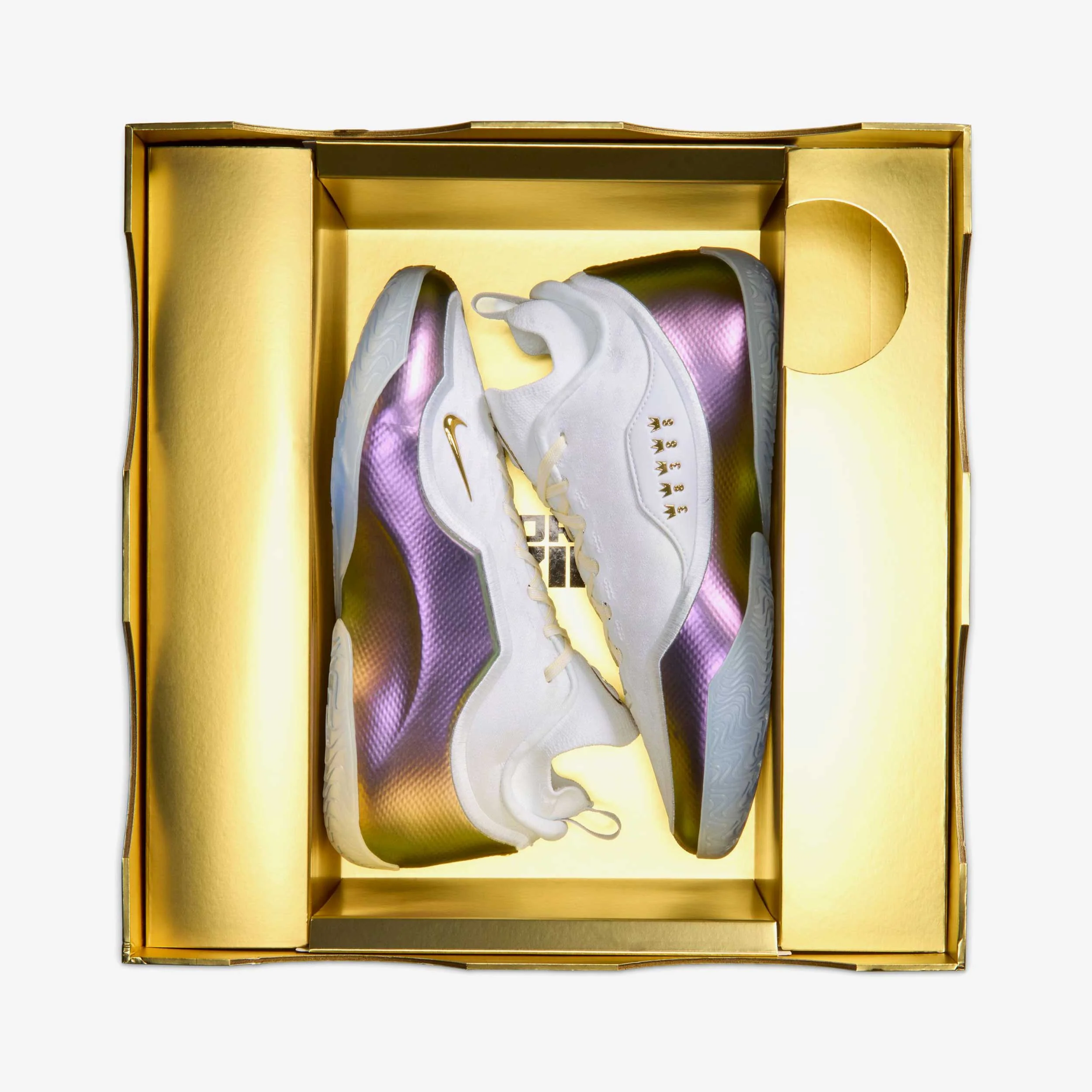 Lebron XXIII Elite "For the Record" - Image 13