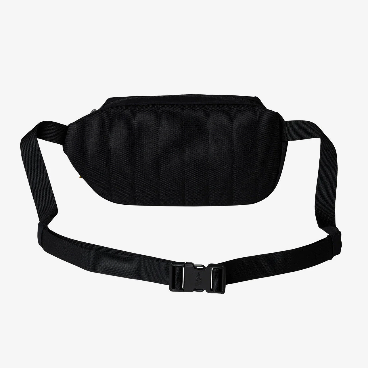Berkeley Lumbar - Image 2